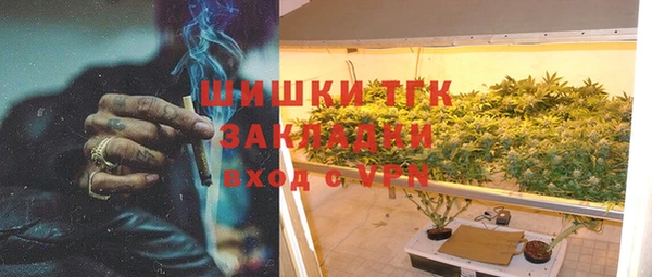 ПСИЛОЦИБИНОВЫЕ ГРИБЫ Осташков